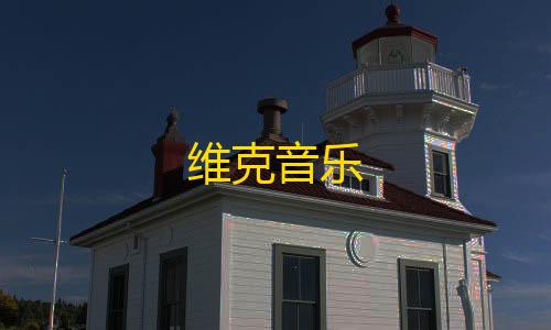 我的世界透视挂下载维克音乐